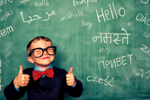 Bilingualism: Food for Thought for Speech and Language Pathologists